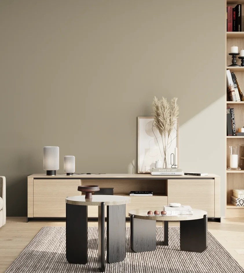 P10_SNIEZKA_salon_02_poludnie_GREY_S3005-Y