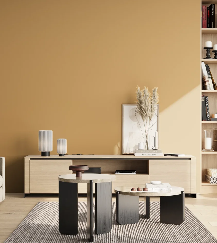 P10_SNIEZKA_salon_02_poludnie_GREY_RAL1002