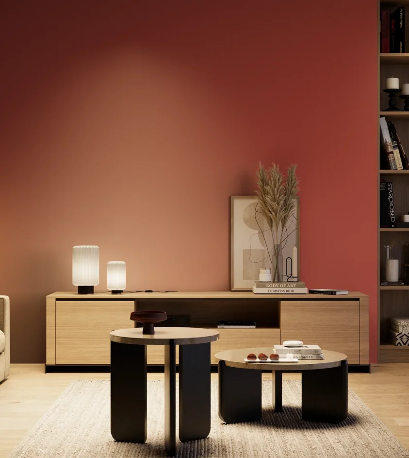 P10_SNIEZKA_salon_04_cieple_GREY_RAL3000