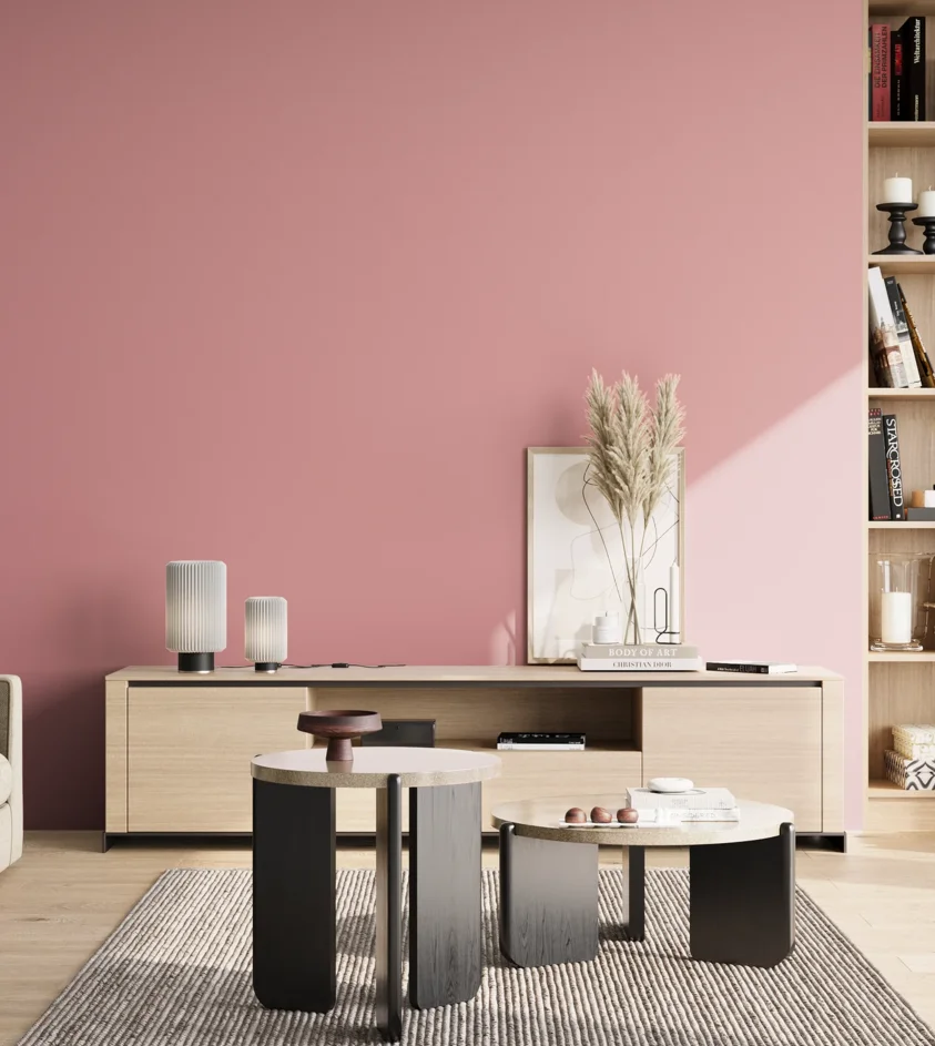 P10_SNIEZKA_salon_02_poludnie_GREY_RAL3015