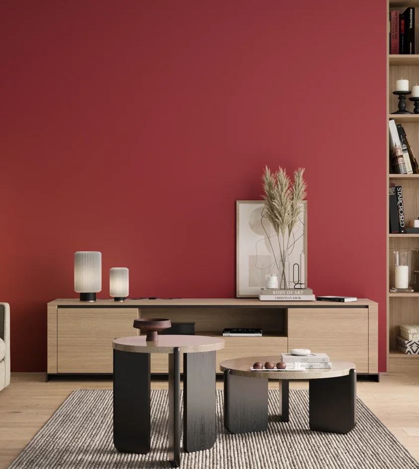 P10_SNIEZKA_salon_00_neutral_GREY_RAL3027