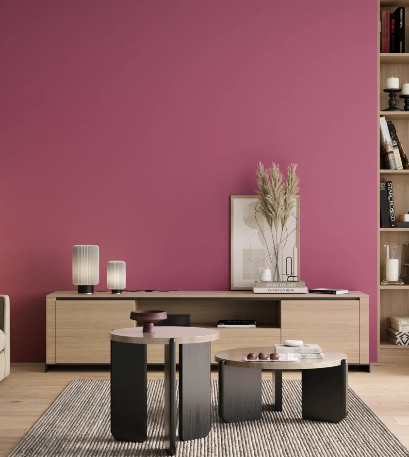 P10_SNIEZKA_salon_00_neutral_GREY_RAL4003