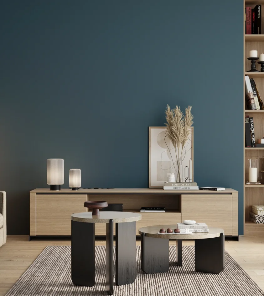 P10_SNIEZKA_salon_00_neutral_GREY_RAL5009