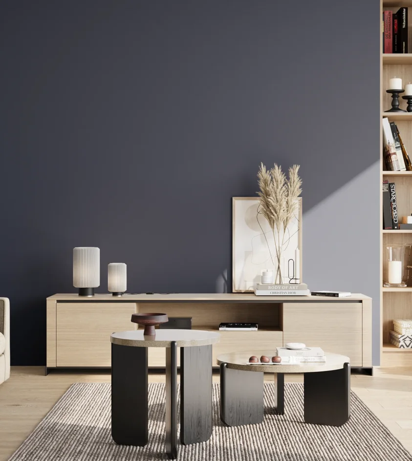 P10_SNIEZKA_salon_02_poludnie_GREY_RAL5013