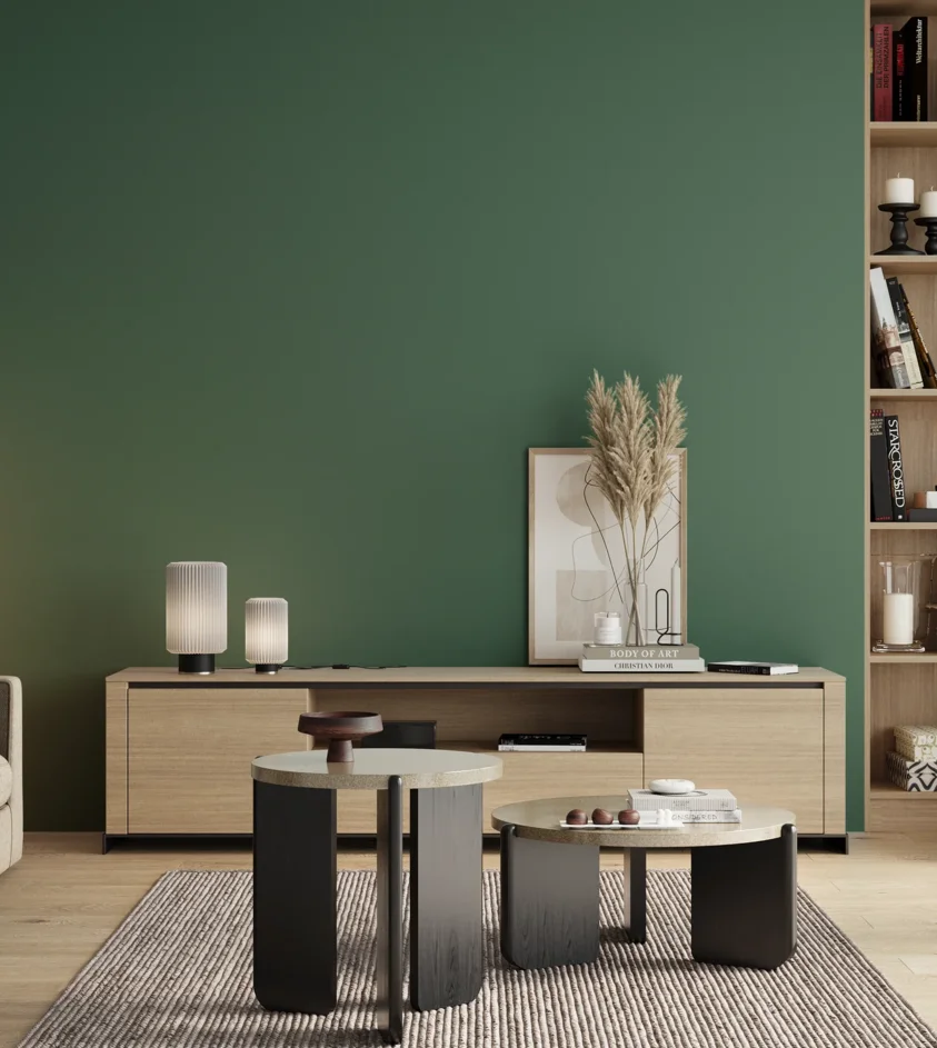 P10_SNIEZKA_salon_00_neutral_GREY_RAL6000