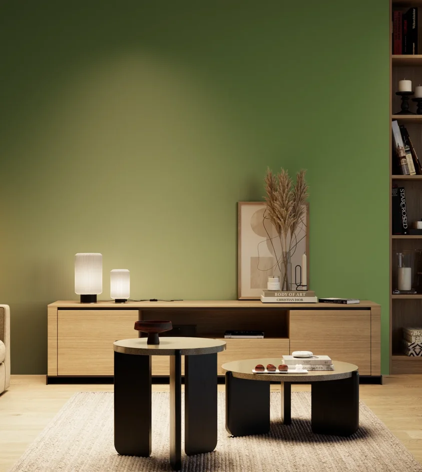 P10_SNIEZKA_salon_04_cieple_GREY_RAL6017