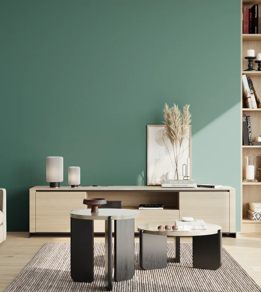P10_SNIEZKA_salon_02_poludnie_GREY_RAL6033