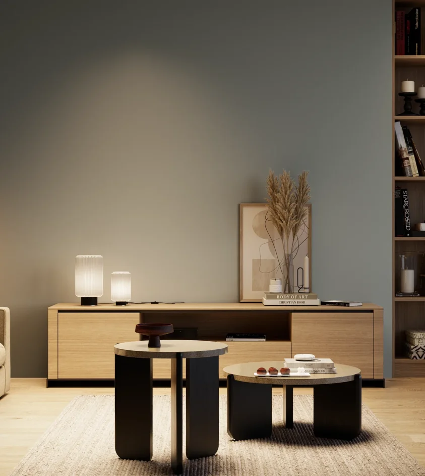 P10_SNIEZKA_salon_04_cieple_GREY_RAL7000