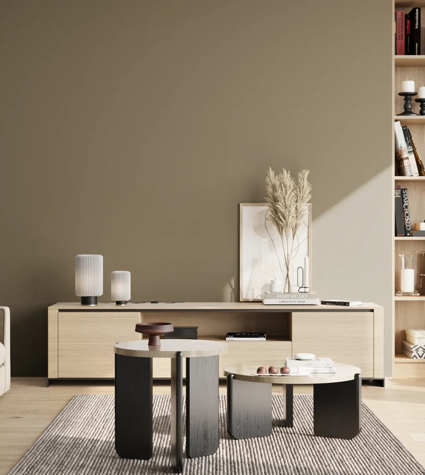 P10_SNIEZKA_salon_02_poludnie_GREY_RAL7002