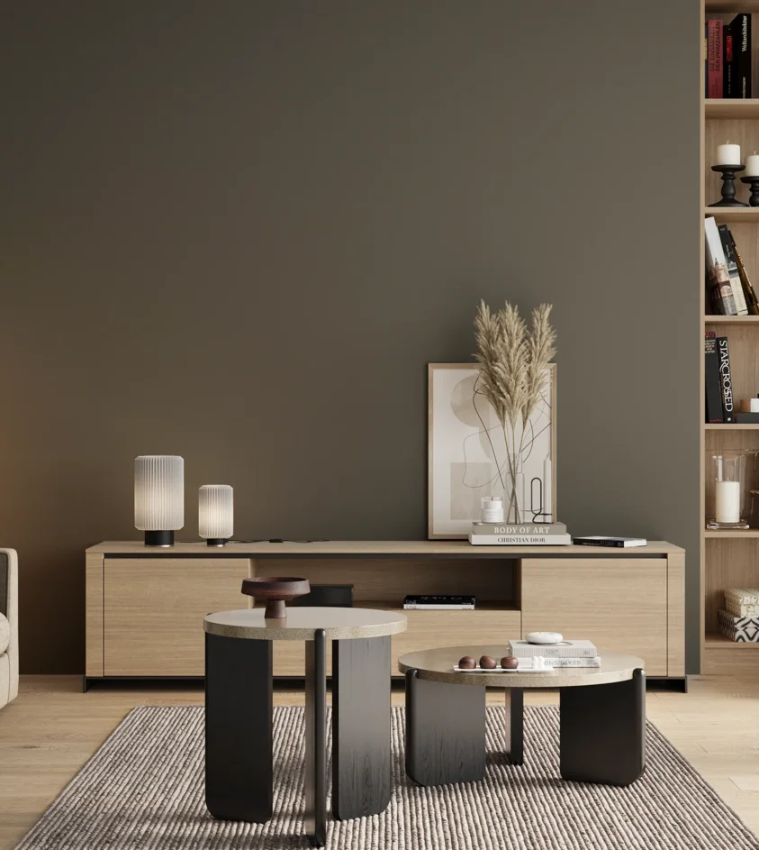 P10_SNIEZKA_salon_00_neutral_GREY_RAL7009