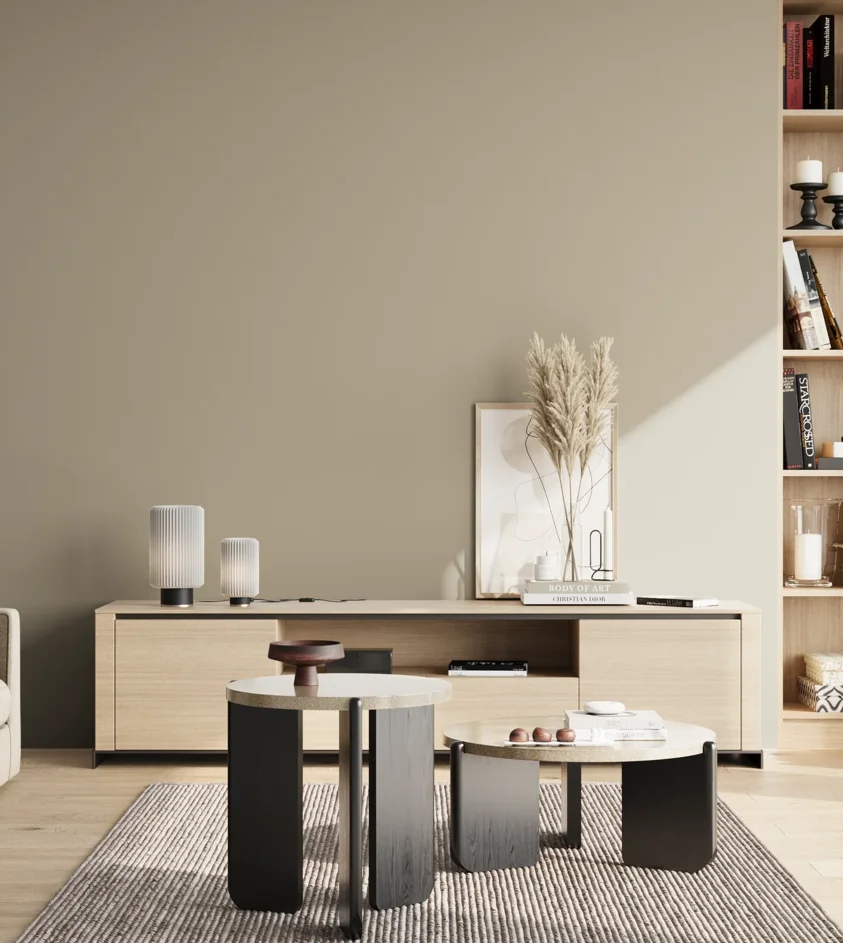 P10_SNIEZKA_salon_02_poludnie_GREY_RAL7032