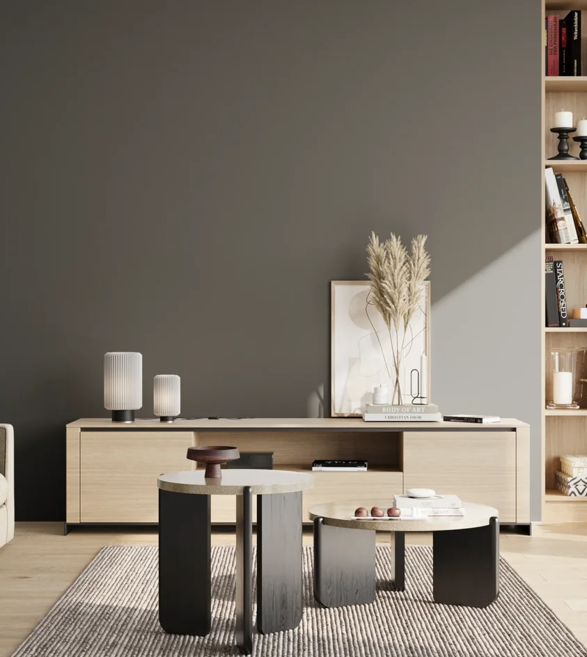 P10_SNIEZKA_salon_02_poludnie_GREY_RAL7043