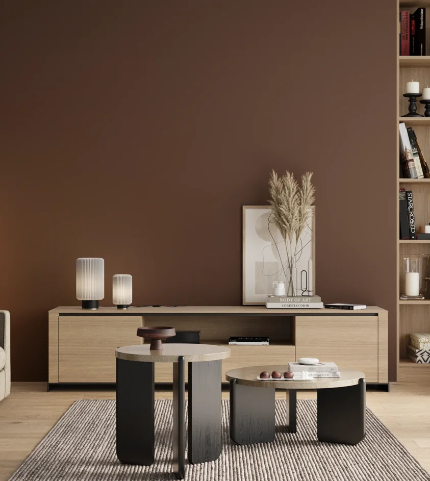 P10_SNIEZKA_salon_00_neutral_GREY_RAL8011