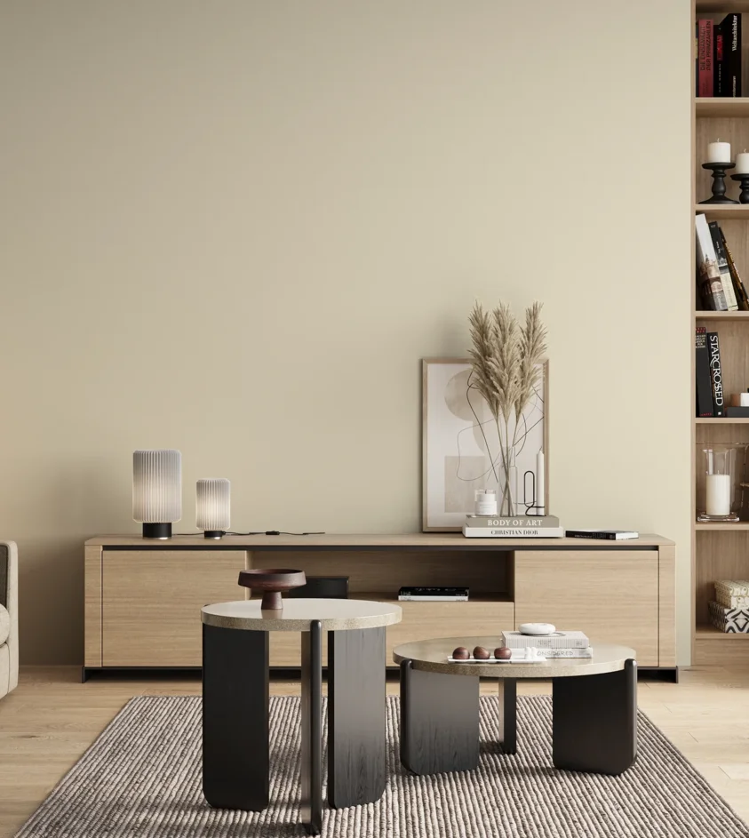 P10_SNIEZKA_salon_00_neutral_GREY_C13