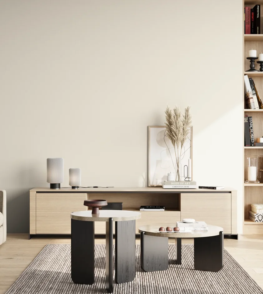 P10_SNIEZKA_salon_02_poludnie_GREY_C78