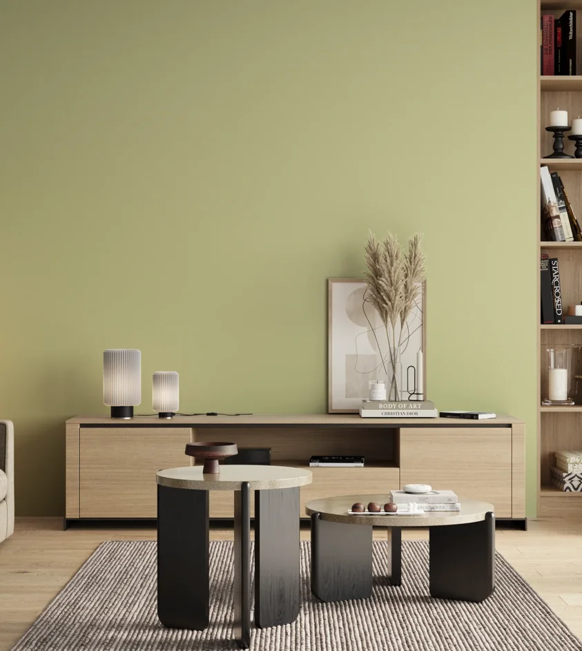 P10_SNIEZKA_salon_00_neutral_GREY_MP30