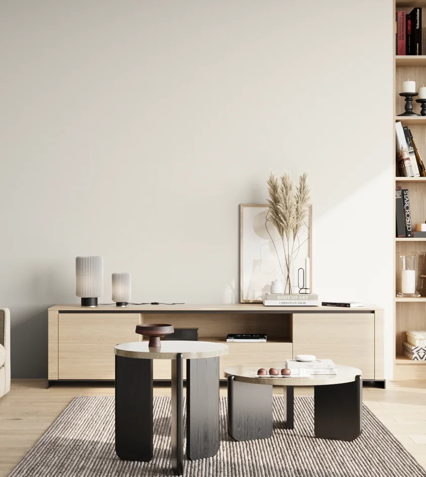 P10_SNIEZKA_salon_02_poludnie_GREY_S0300-N