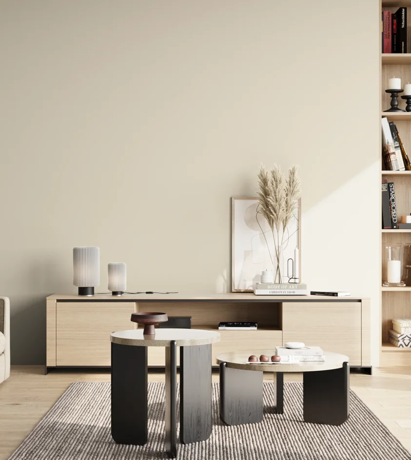 P10_SNIEZKA_salon_02_poludnie_GREY_S0603-Y40R