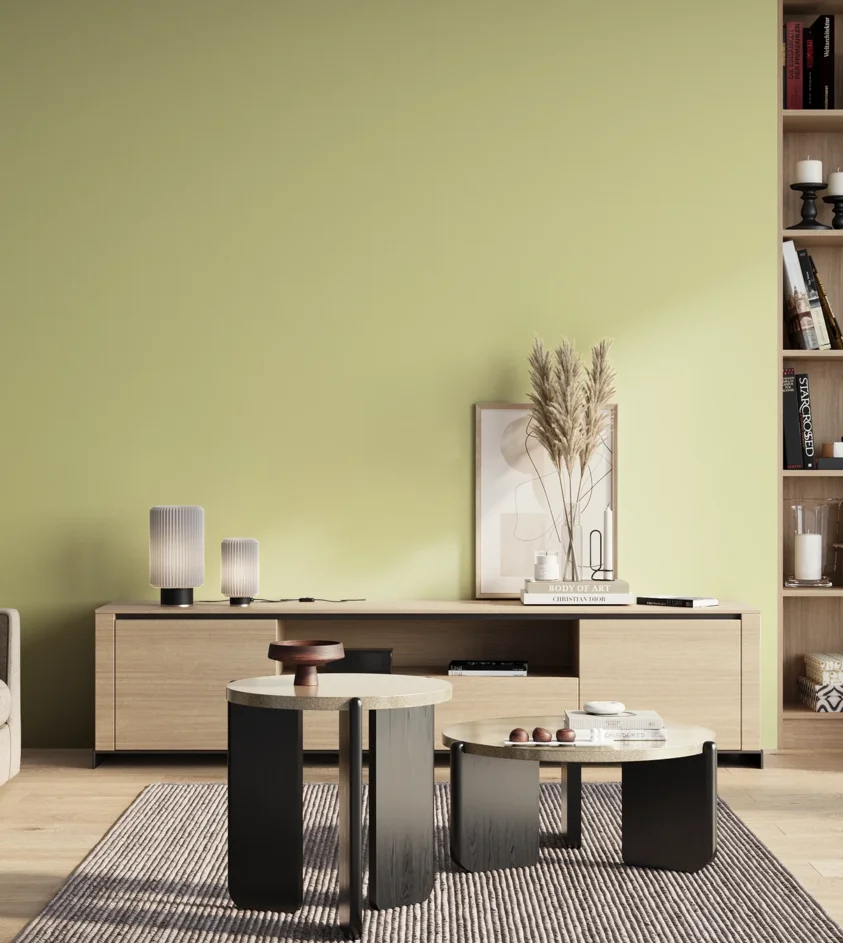 P10_SNIEZKA_salon_01_poranek_GREY_S0520-G70Y