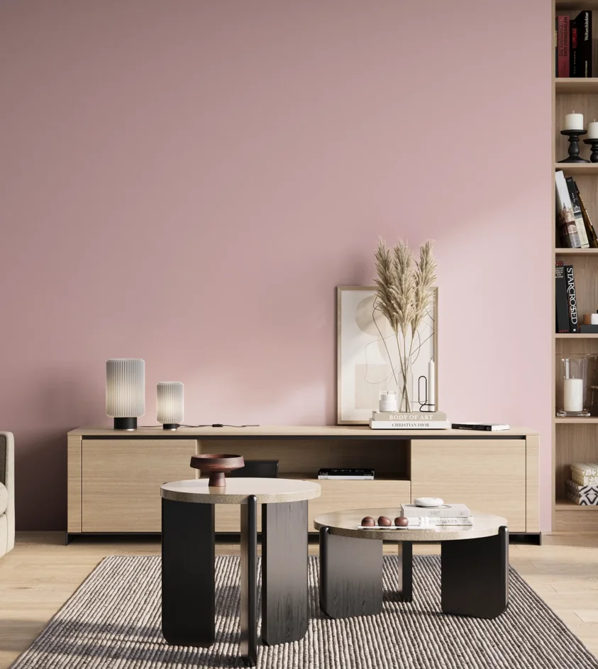 P10_SNIEZKA_salon_01_poranek_GREY_S0520-R20B
