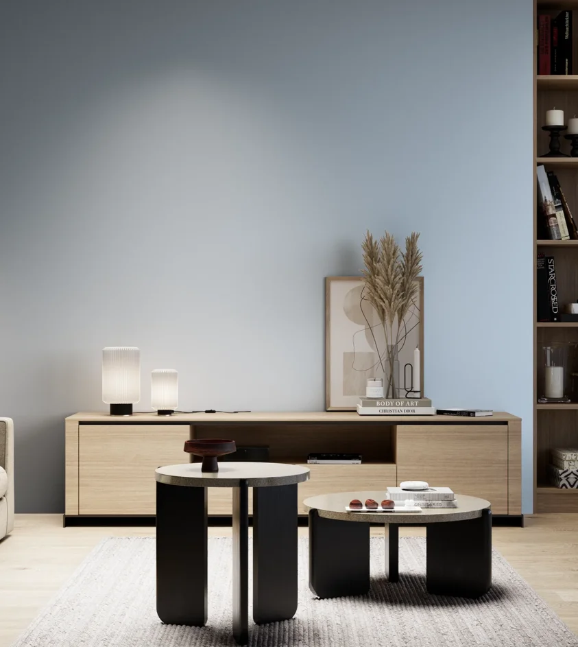 P10_SNIEZKA_salon_05_zimne_GREY_S0520-R80B