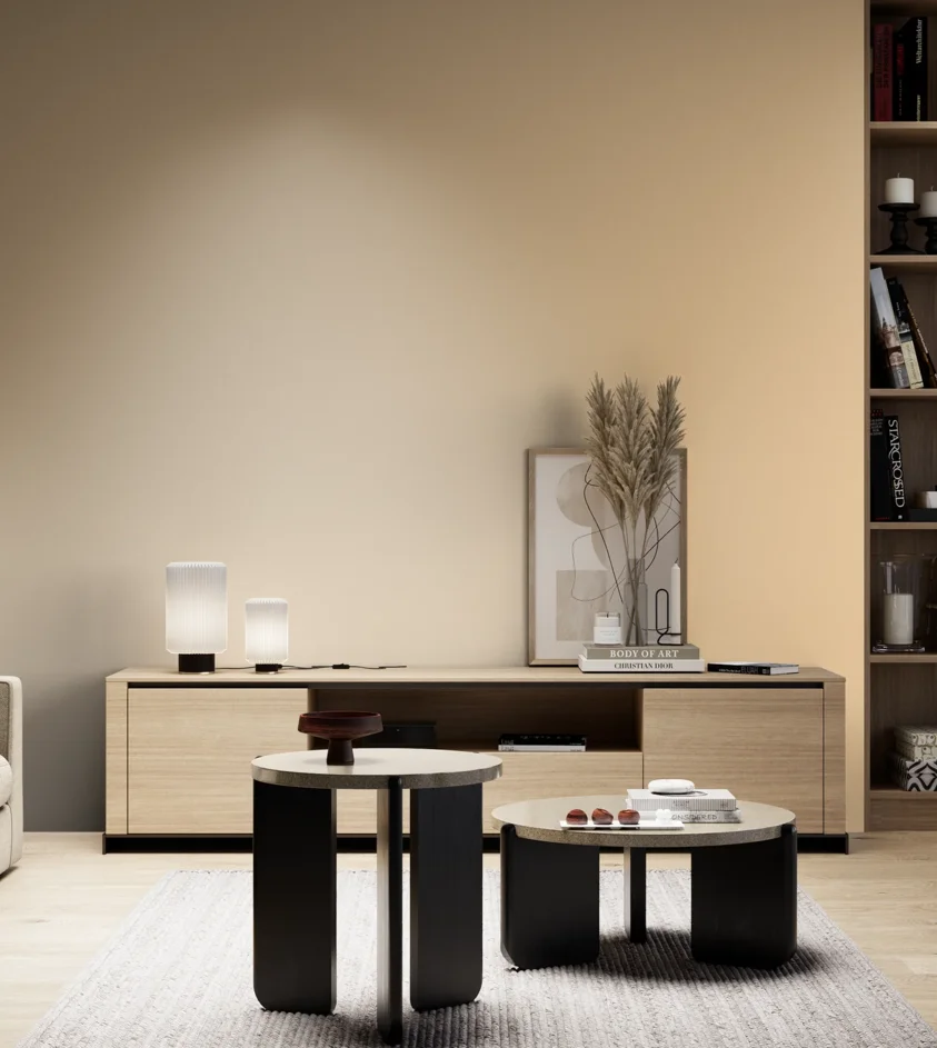 P10_SNIEZKA_salon_05_zimne_GREY_S0520-Y30R