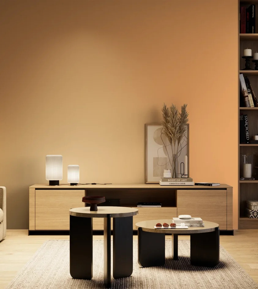 P10_SNIEZKA_salon_04_cieple_GREY_S0540-Y40R