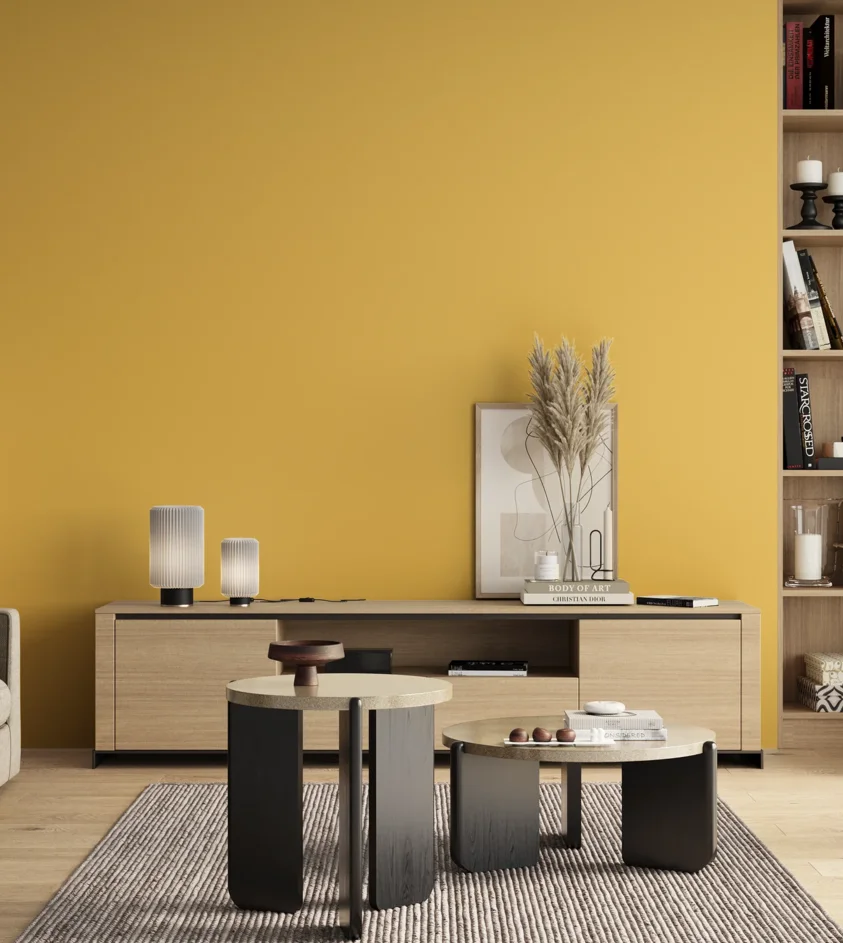 P10_SNIEZKA_salon_00_neutral_GREY_S0550-Y10R