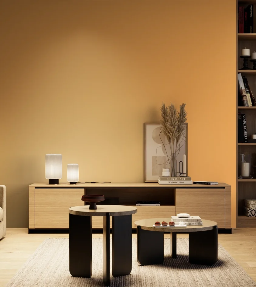 P10_SNIEZKA_salon_04_cieple_GREY_S0550-Y30R