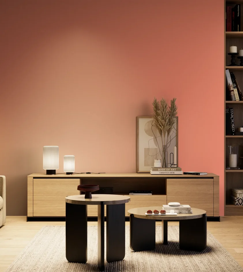 P10_SNIEZKA_salon_04_cieple_GREY_S0550-Y80R