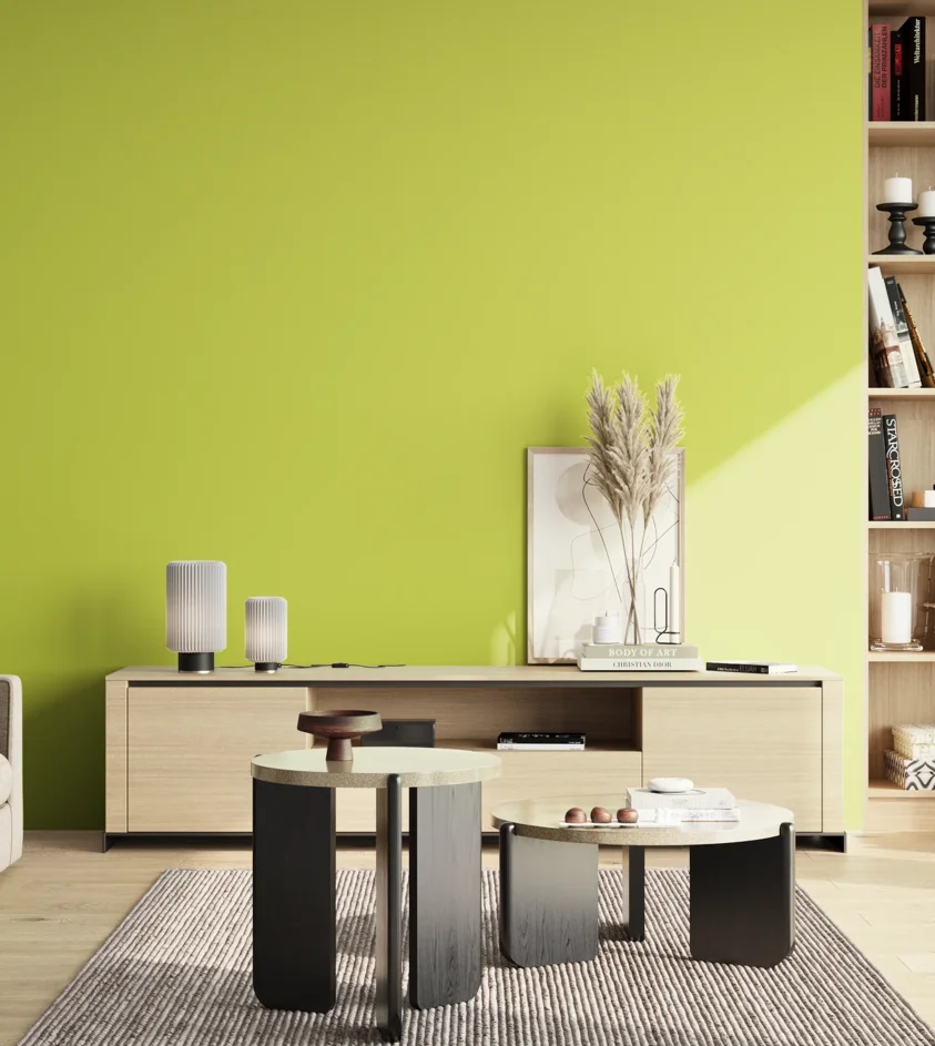 P10_SNIEZKA_salon_02_poludnie_GREY_S0560-G60Y