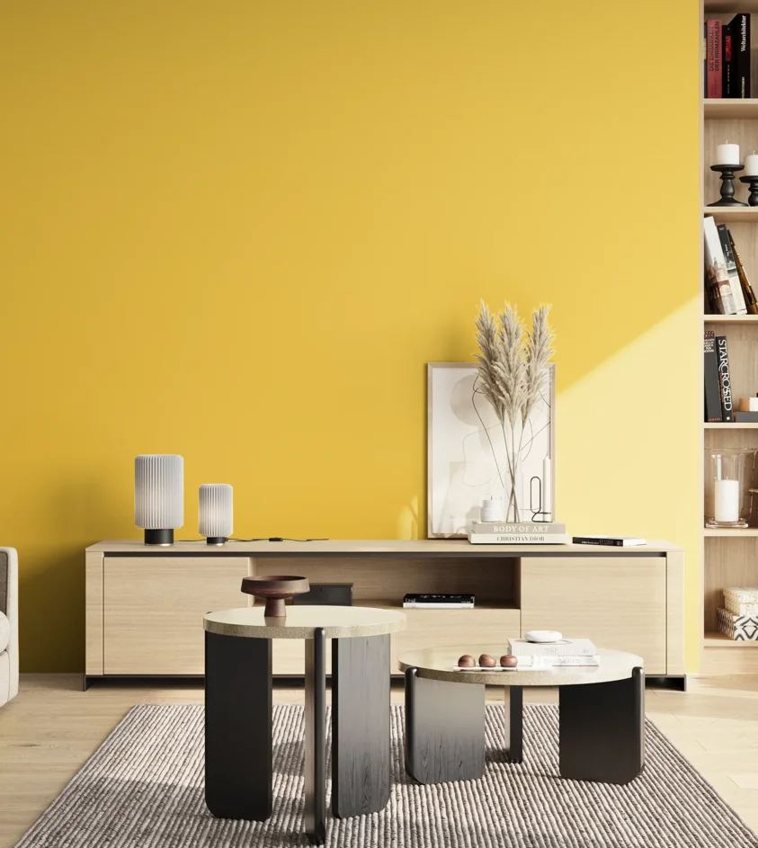P10_SNIEZKA_salon_02_poludnie_GREY_S0560-Y