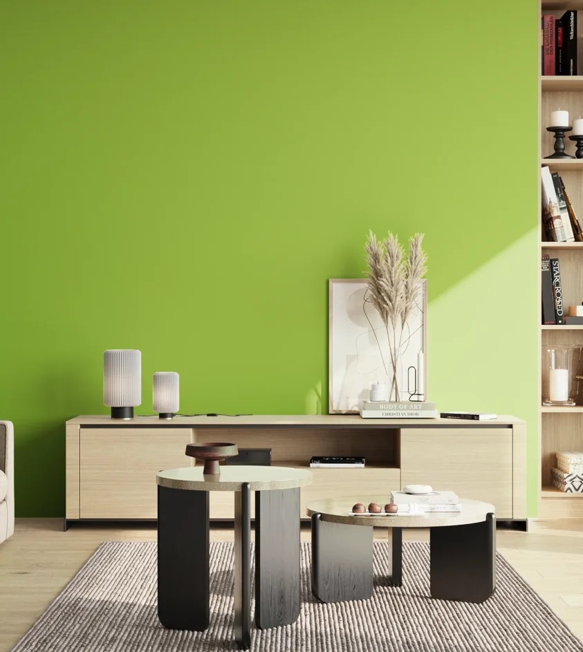 P10_SNIEZKA_salon_02_poludnie_GREY_S0570-G40Y