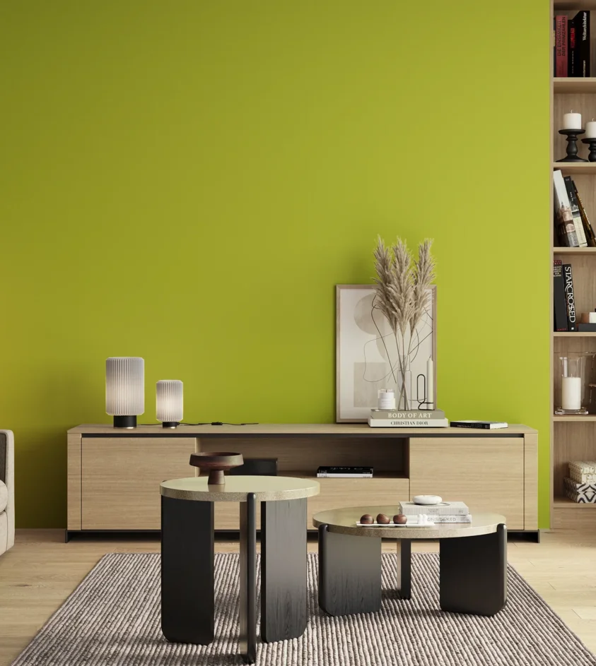 P10_SNIEZKA_salon_00_neutral_GREY_S0570-G60Y