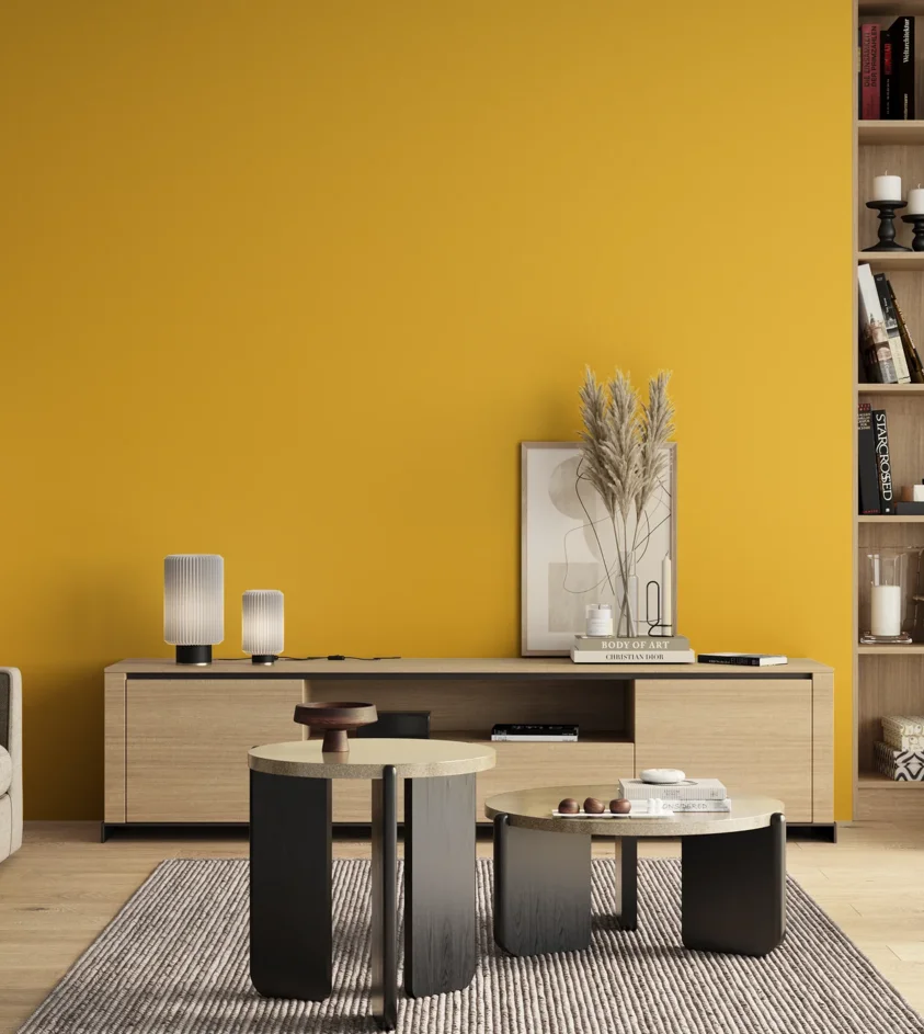 P10_SNIEZKA_salon_00_neutral_GREY_S0570-Y10R