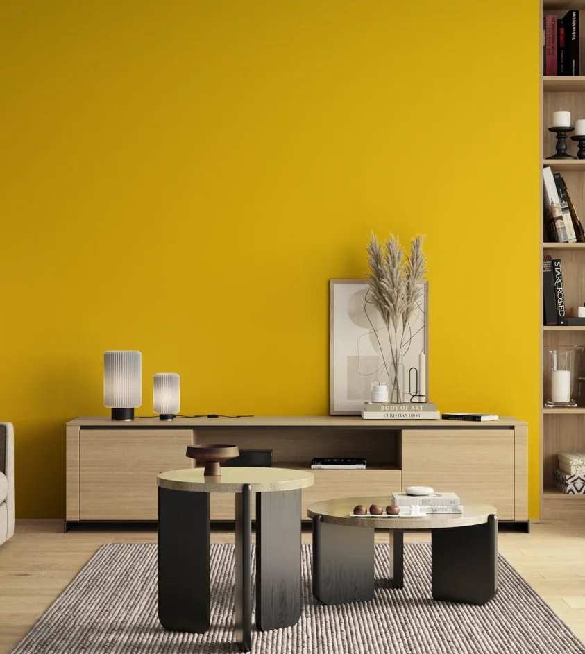 P10_SNIEZKA_salon_00_neutral_GREY_S0580-Y