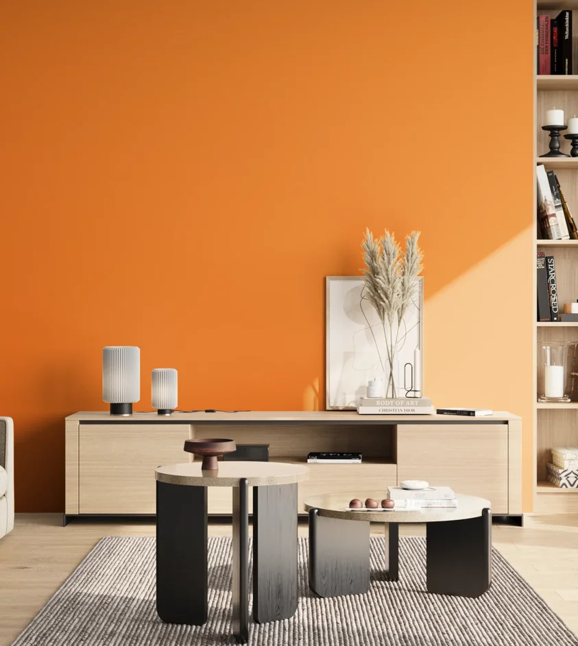 P10_SNIEZKA_salon_02_poludnie_GREY_S0580-Y40R