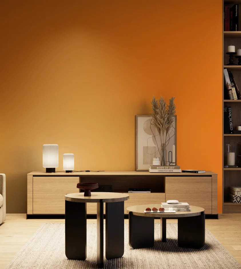 P10_SNIEZKA_salon_04_cieple_GREY_S0585-Y40R