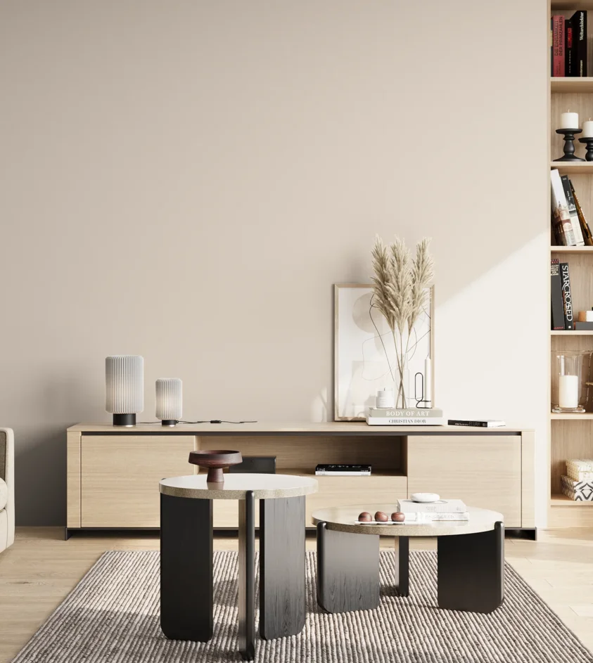 P10_SNIEZKA_salon_02_poludnie_GREY_S0804-Y70R