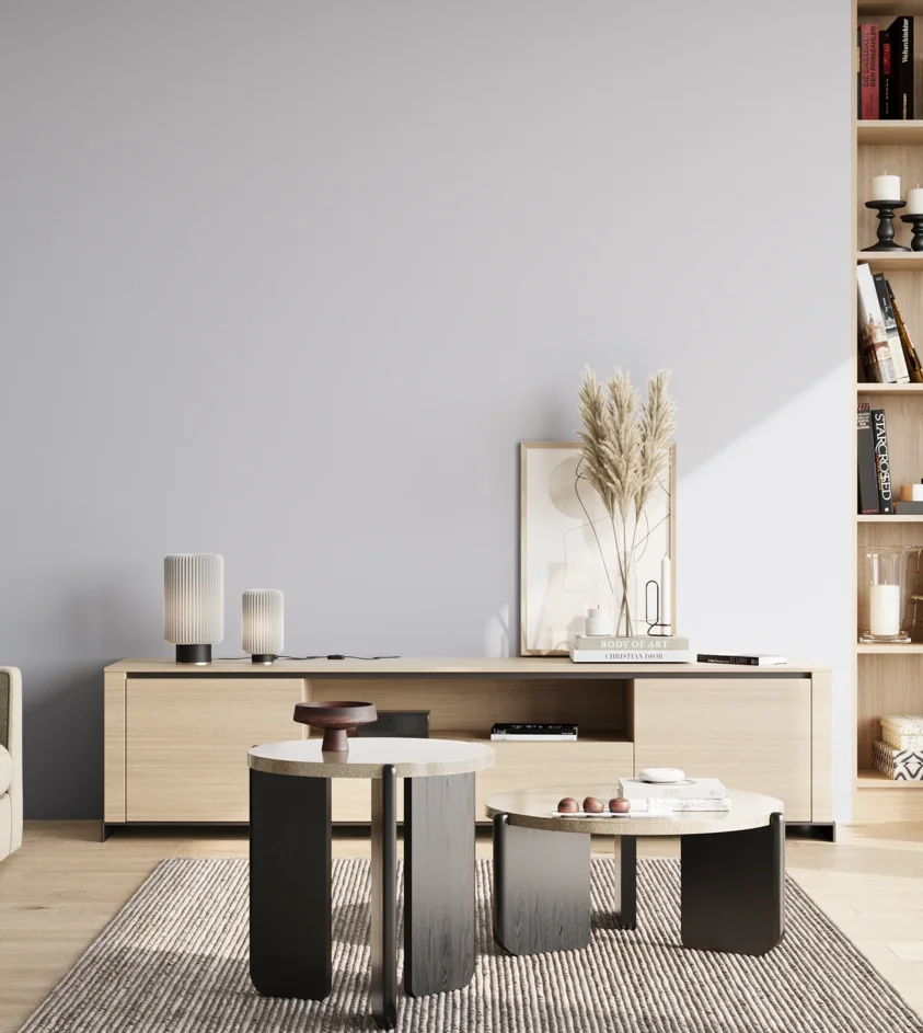 P10_SNIEZKA_salon_02_poludnie_GREY_S0907-R70B