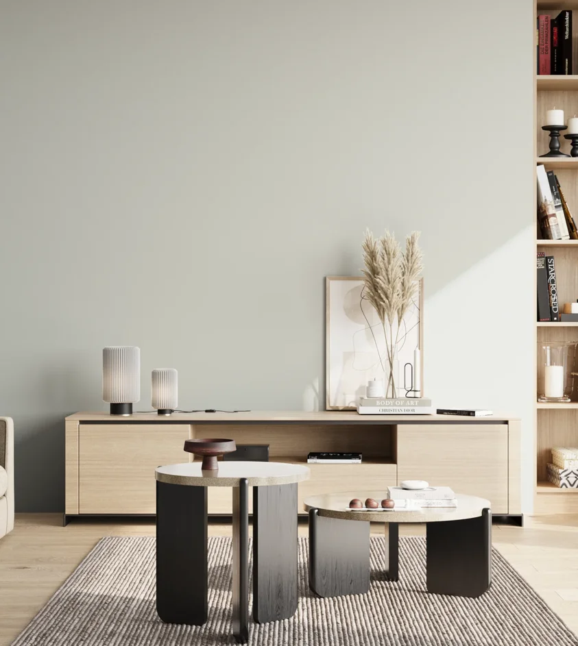 P10_SNIEZKA_salon_02_poludnie_GREY_S1002-G