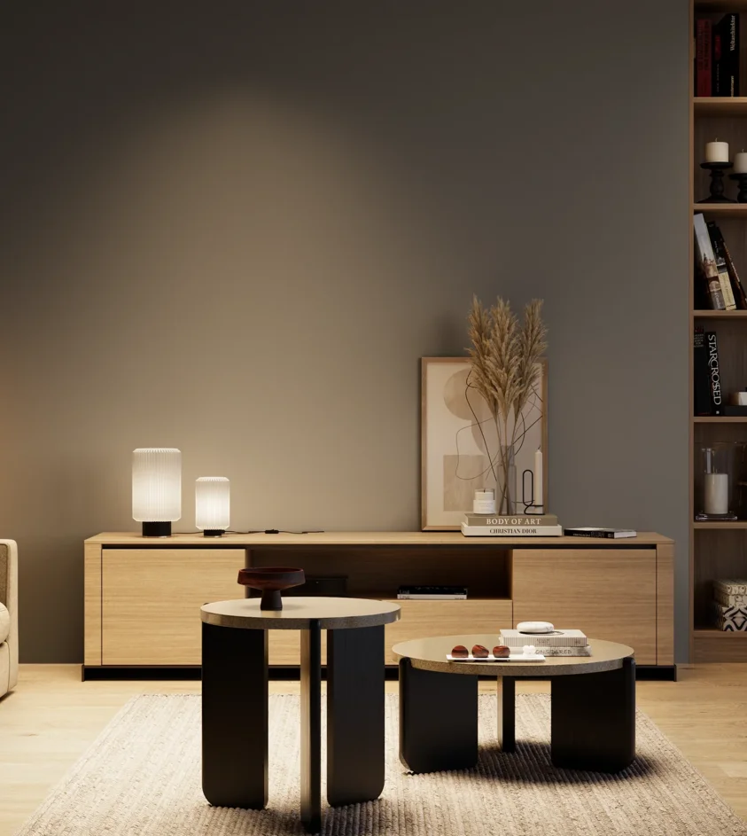 P10_SNIEZKA_salon_04_cieple_GREY_C54