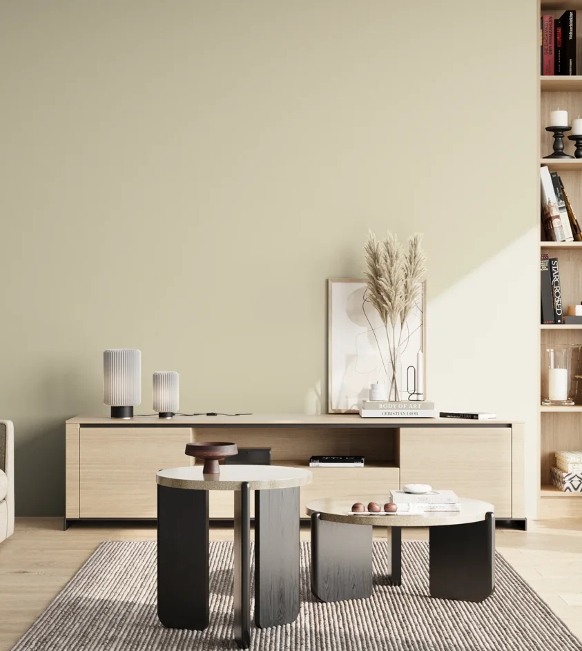 P10_SNIEZKA_salon_02_poludnie_GREY_S1005-Y