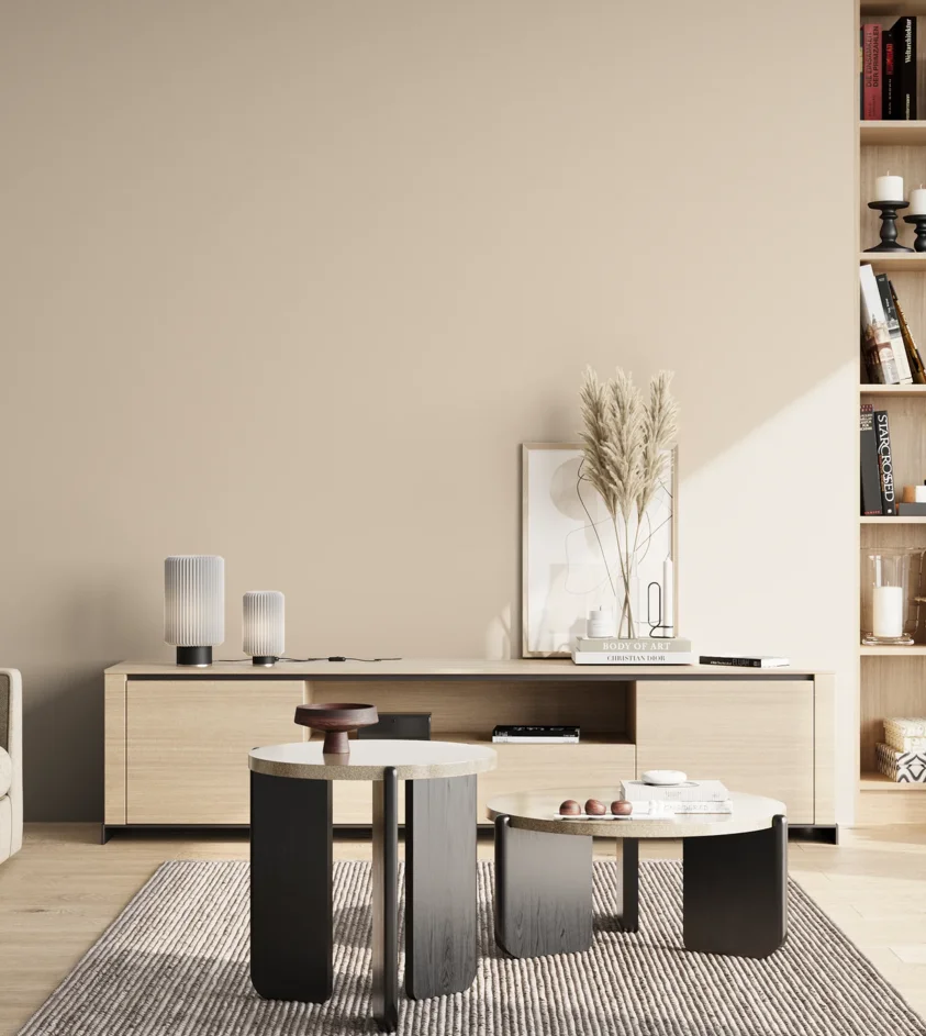 P10_SNIEZKA_salon_02_poludnie_GREY_S1005-Y50R