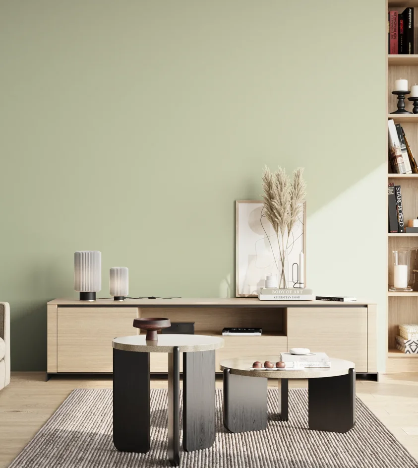 P10_SNIEZKA_salon_02_poludnie_GREY_S1010-G40Y