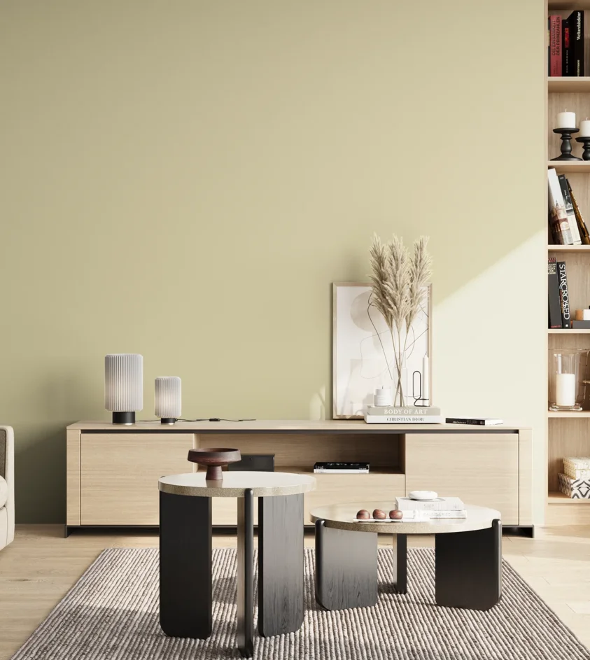 P10_SNIEZKA_salon_02_poludnie_GREY_S1010-G90Y