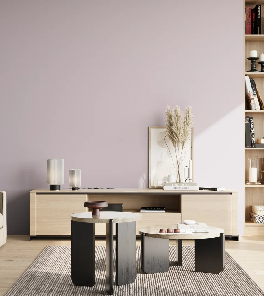 P10_SNIEZKA_salon_02_poludnie_GREY_S1010-R40B