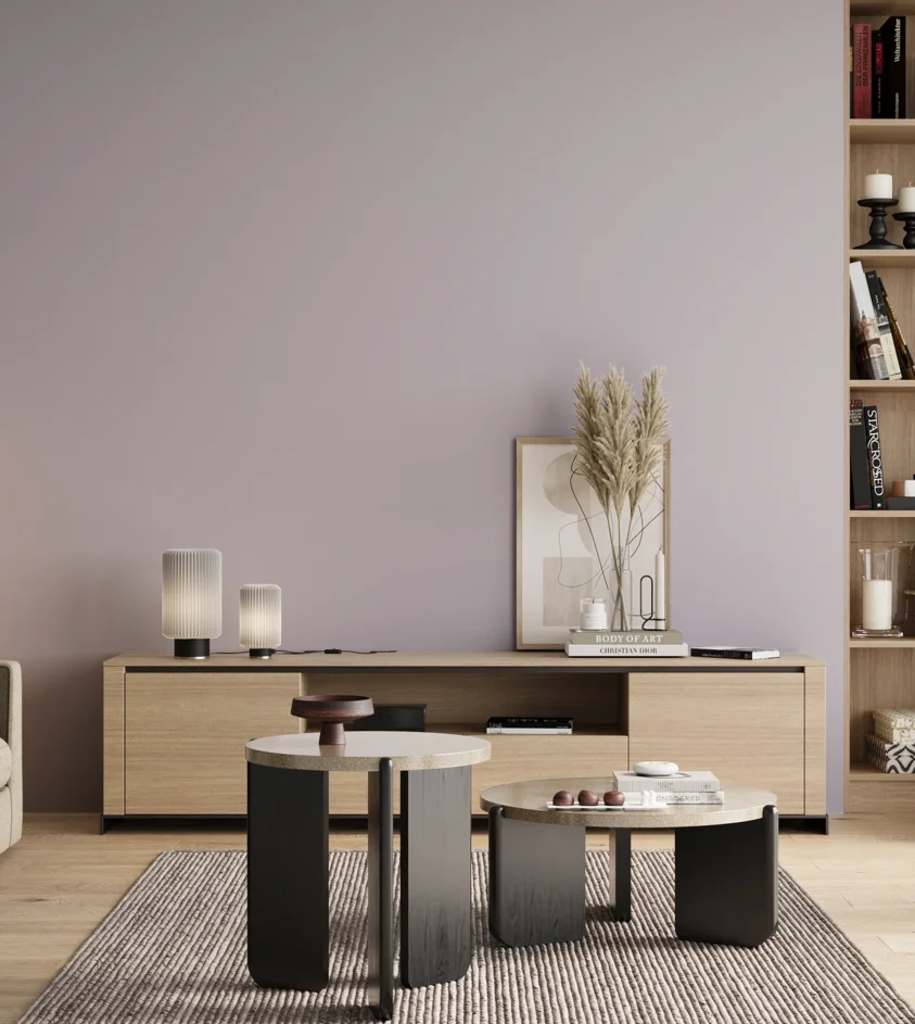P10_SNIEZKA_salon_00_neutral_GREY_S1010-R50B