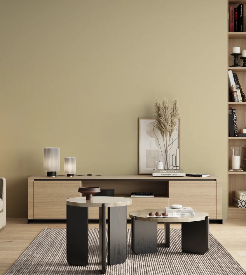 P10_SNIEZKA_salon_00_neutral_GREY_S1010-Y