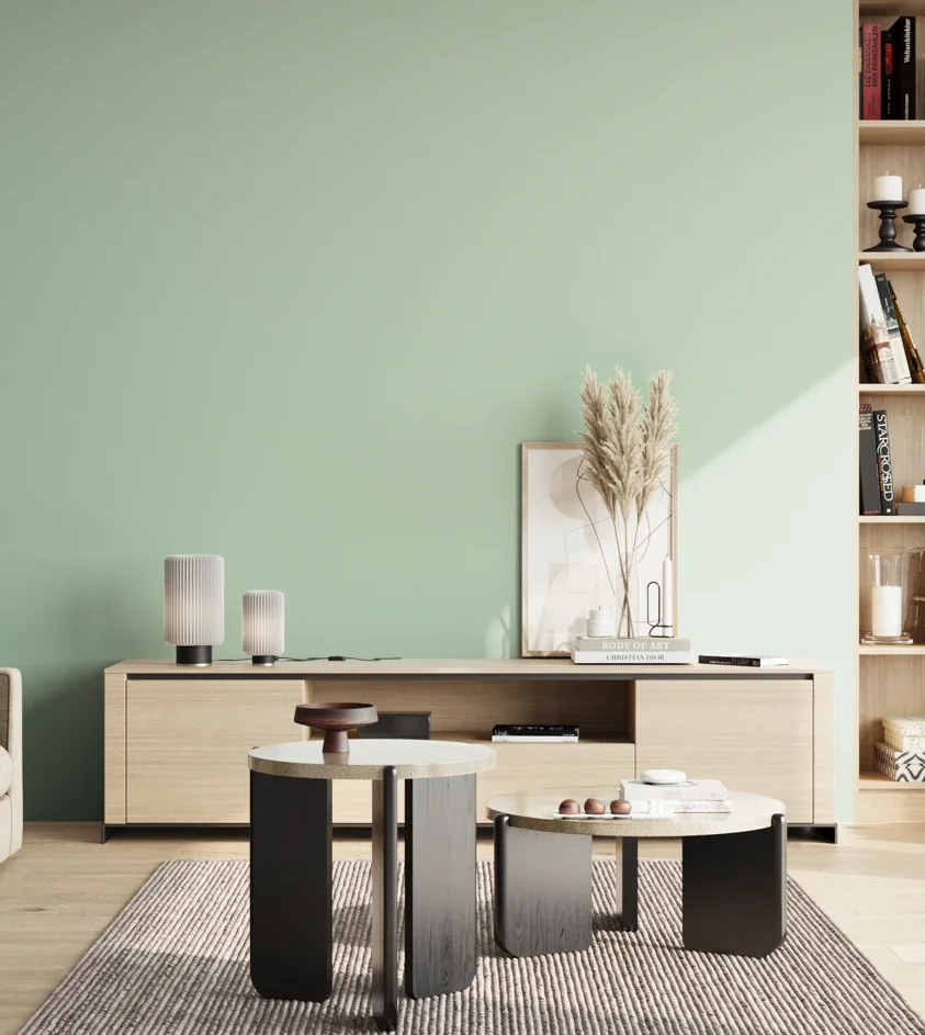P10_SNIEZKA_salon_02_poludnie_GREY_S1015-G